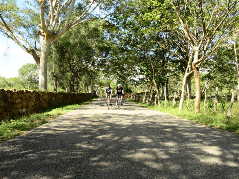 Santander Cycling trip